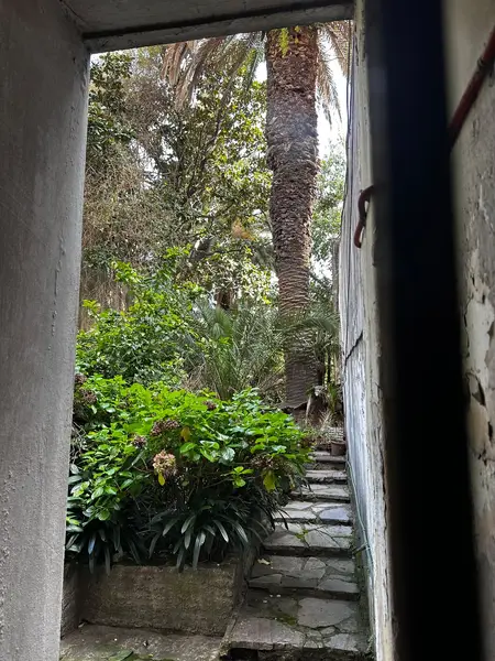 Foto 41
