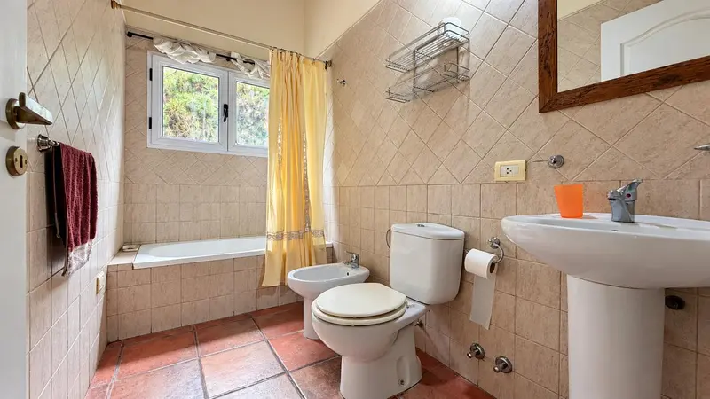 Foto 41
