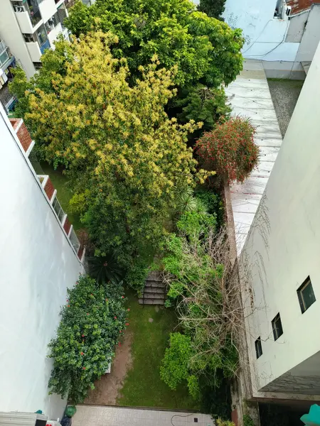 Foto 30