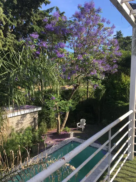 Foto 15
