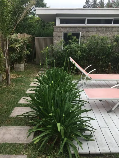Foto 19