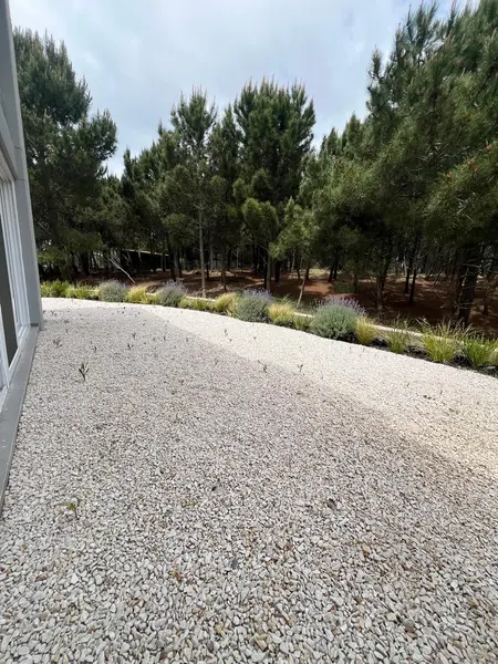 Foto 19