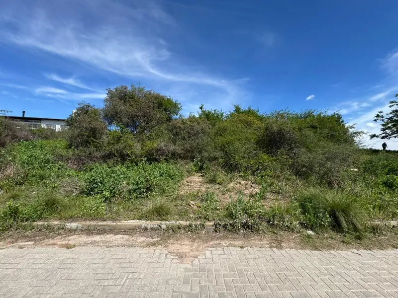 Foto 10