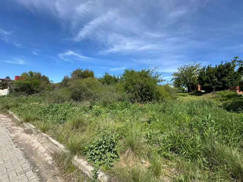 Foto 12