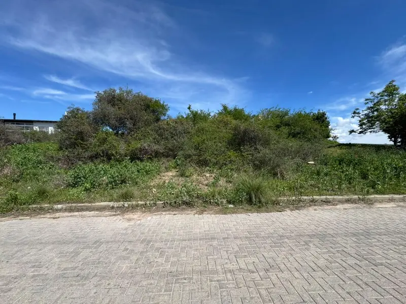 Foto 10