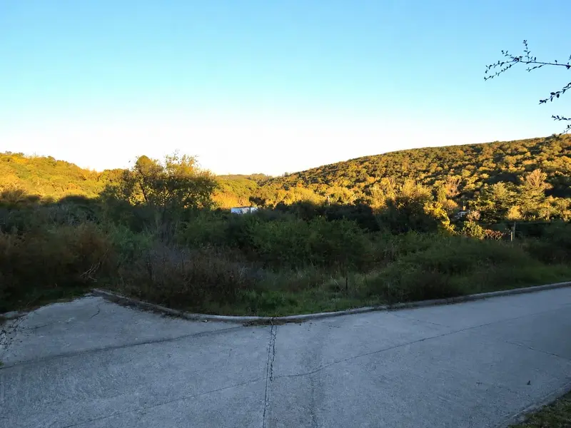 Foto 8