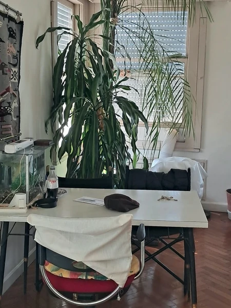 Foto 18