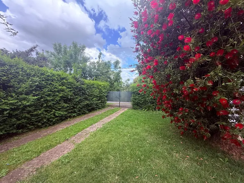Foto 11
