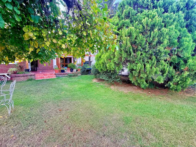 Foto 19