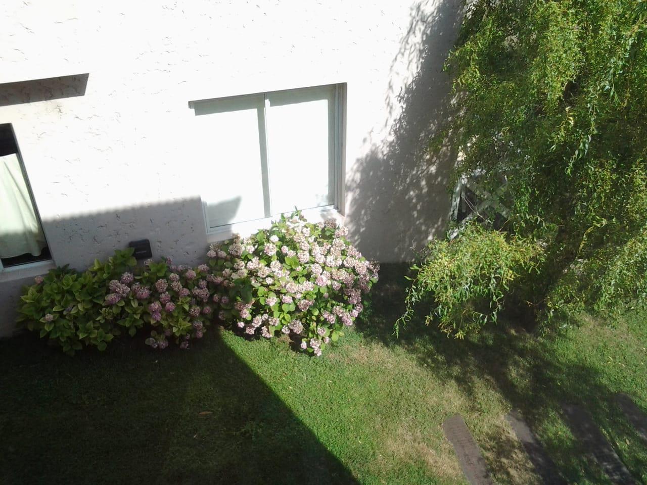 Foto 22