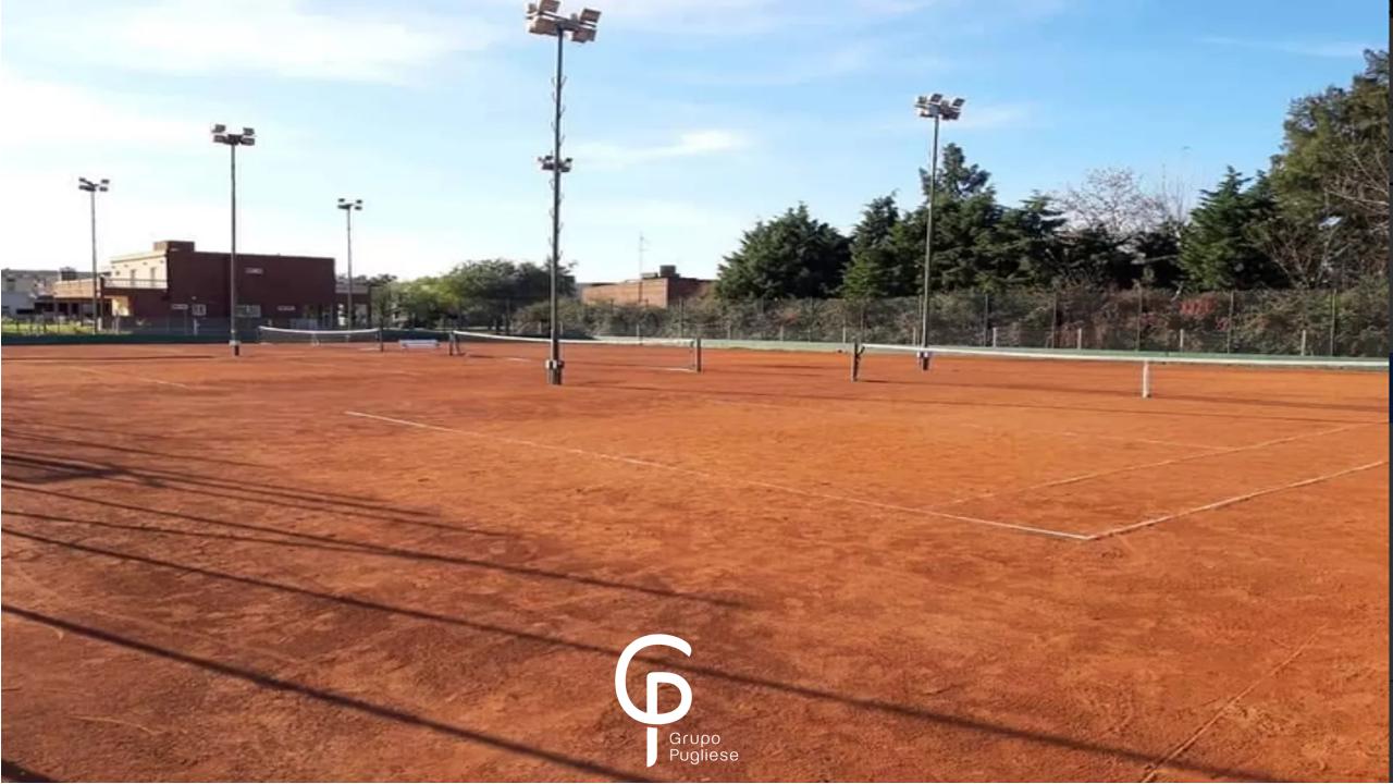Foto 15