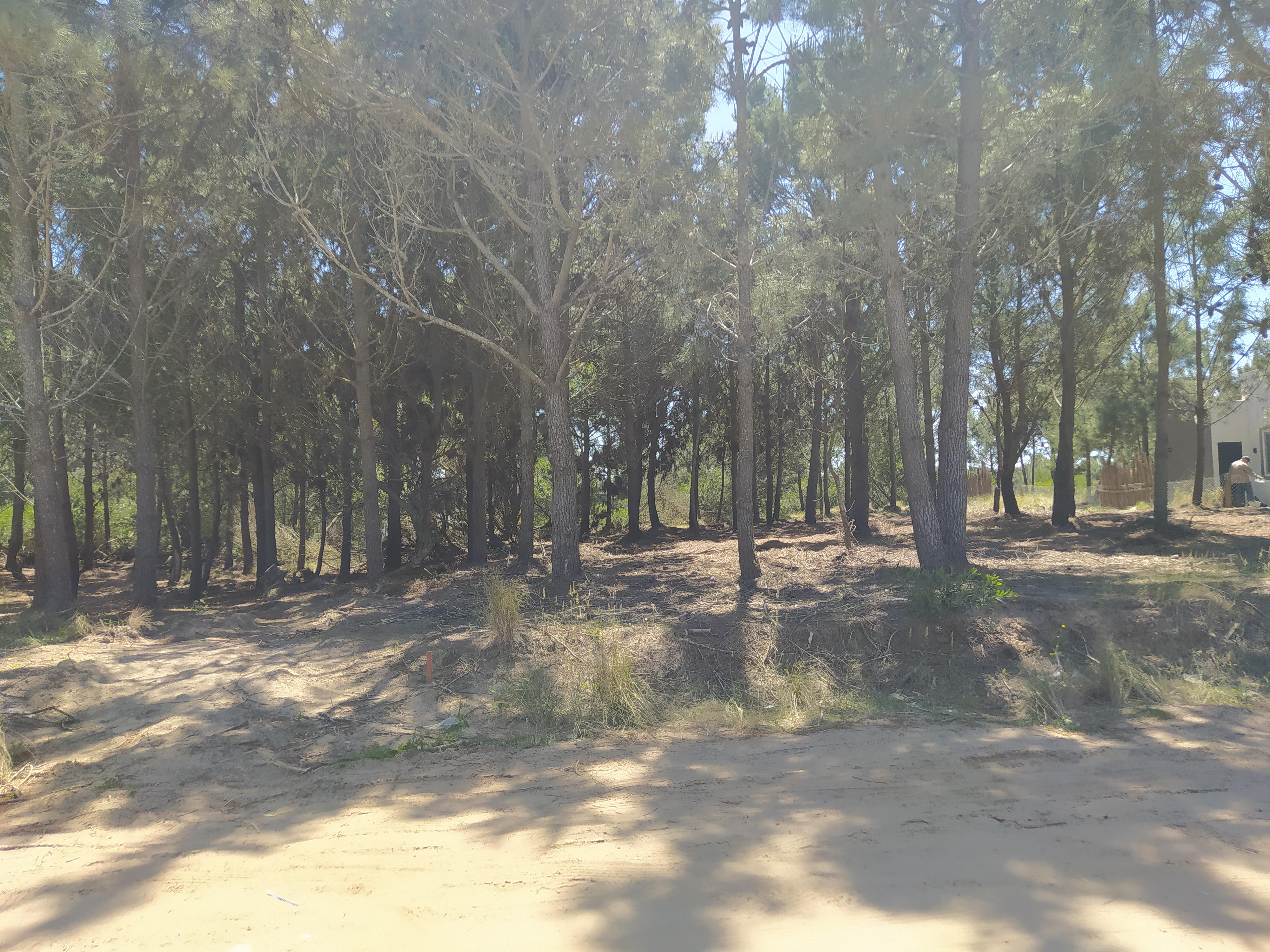 Terreno en venta · Costa Esmeralda, Punta Medanos, La Costa, Costa Atlántica, Provincia de Buenos Aires