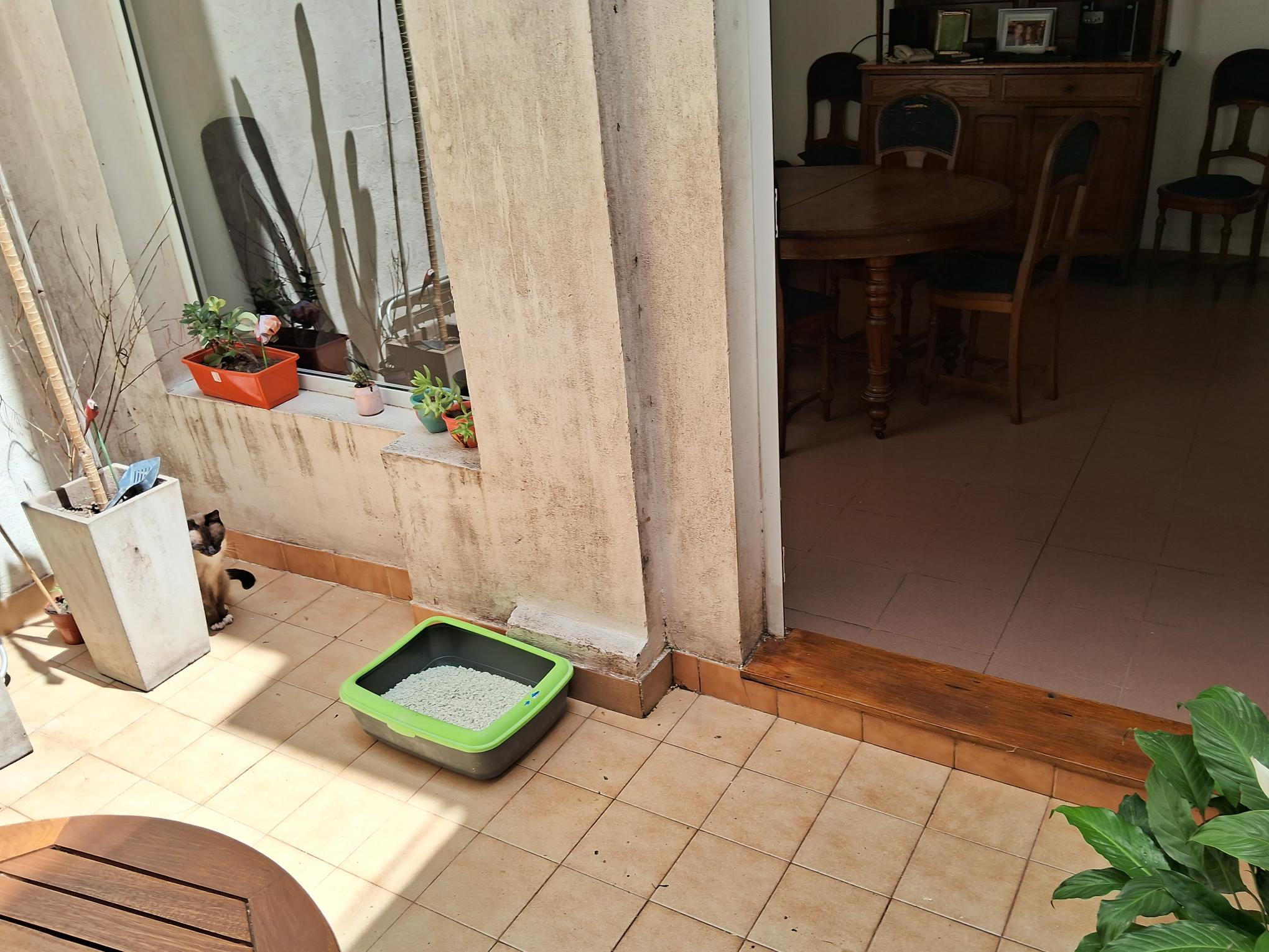 Foto 49