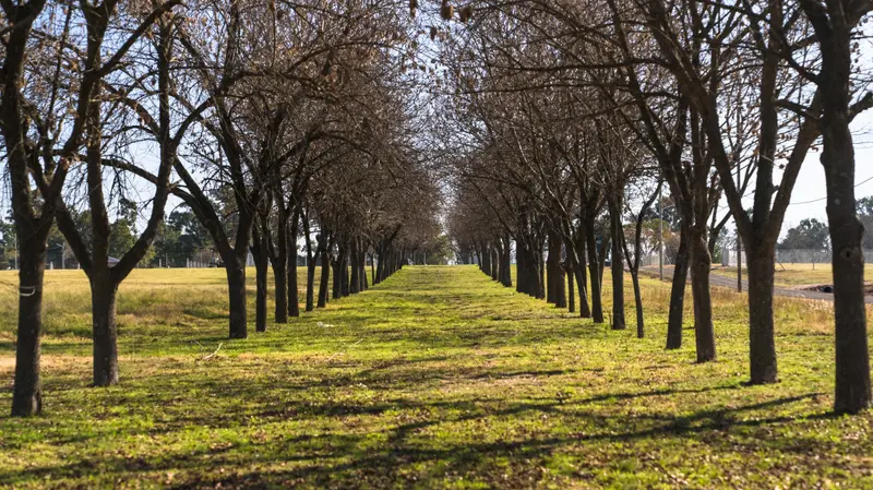 Terreno en venta · Zelaya, Pilar, GBA Norte, Provincia de Buenos Aires