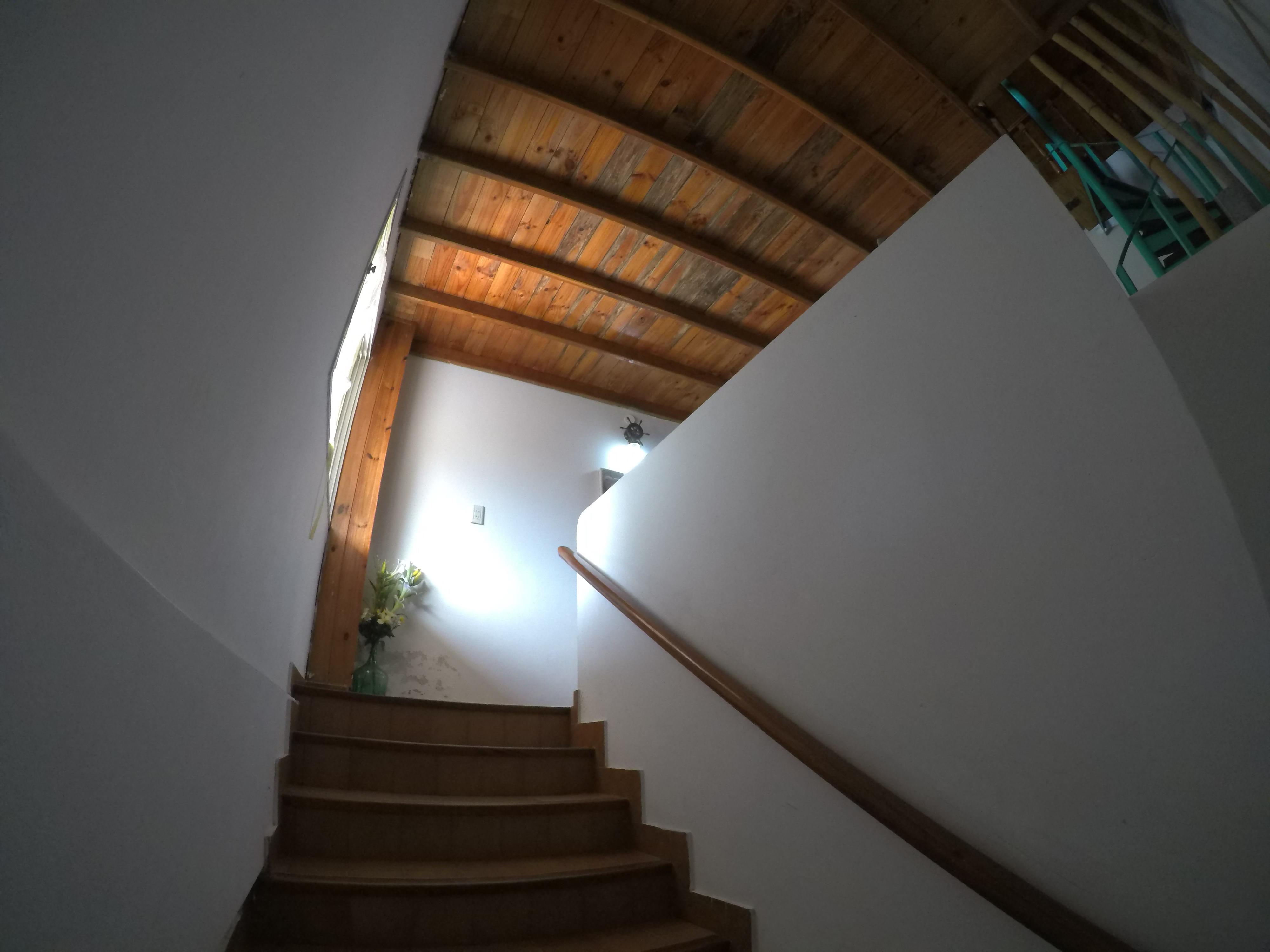 Foto 66