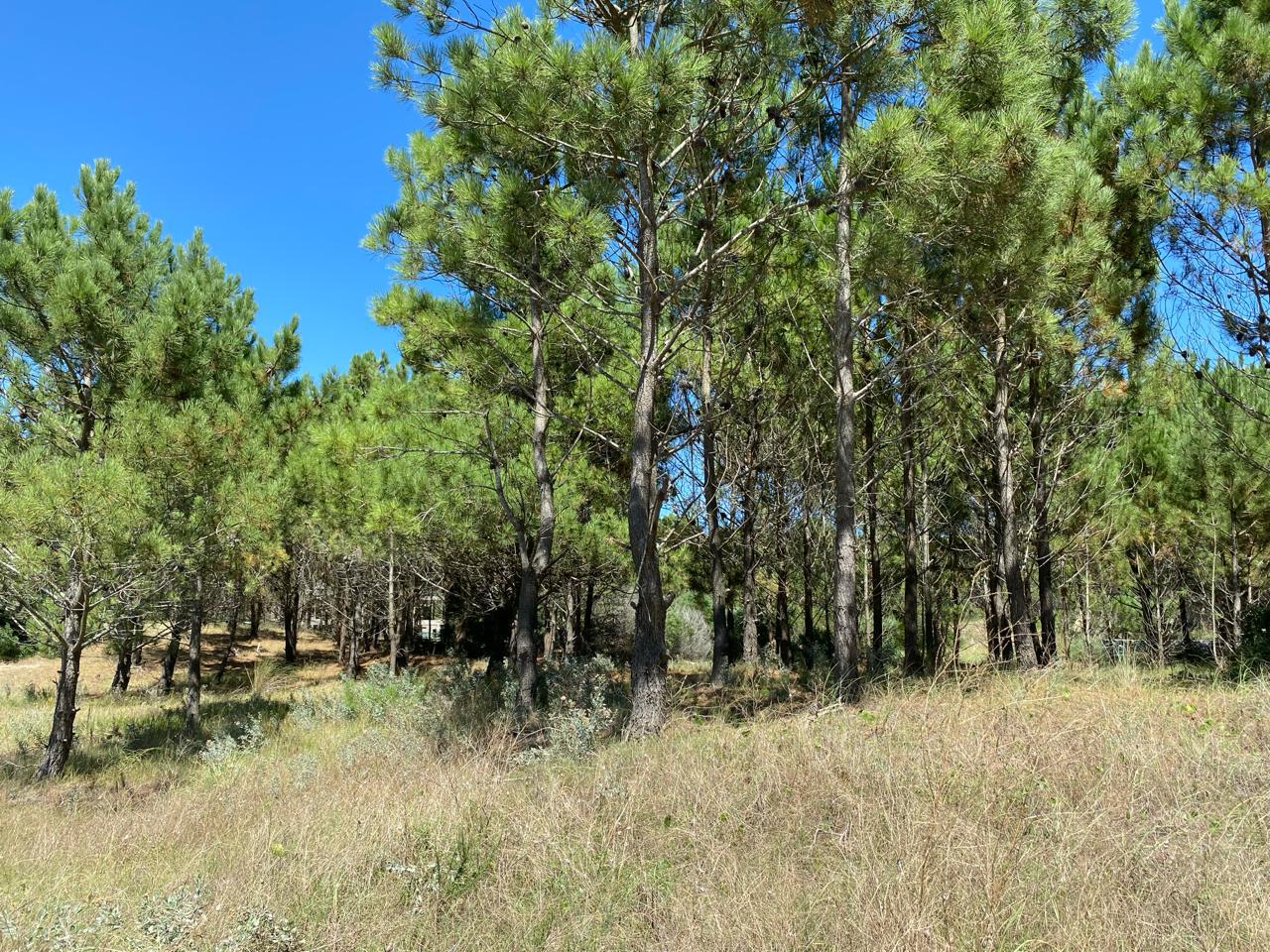 Terreno en venta · Costa Esmeralda, Punta Medanos, La Costa, Costa Atlántica, Provincia de Buenos Aires