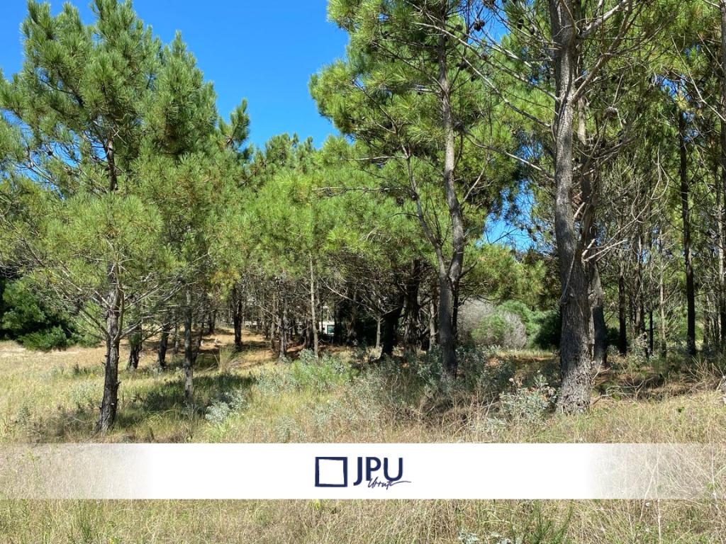 Terreno en venta · Costa Esmeralda, Punta Medanos, La Costa, Costa Atlántica, Provincia de Buenos Aires