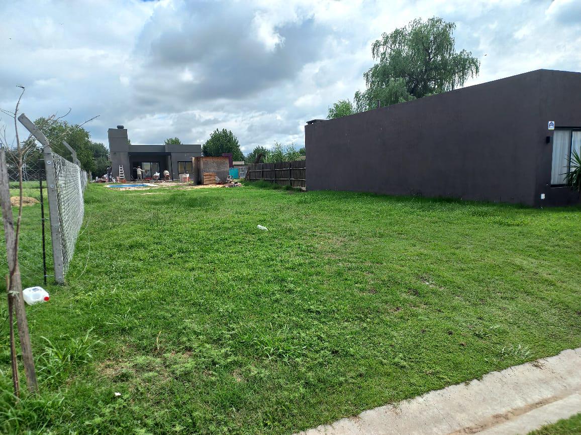 Foto 6