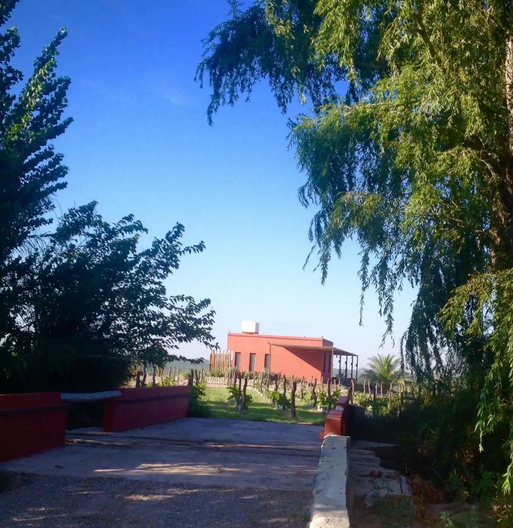 Foto 10