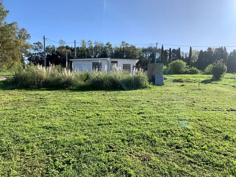 Foto 4