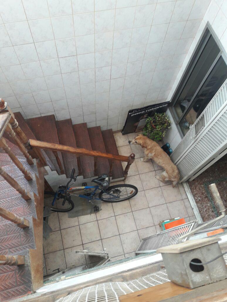 Foto 18