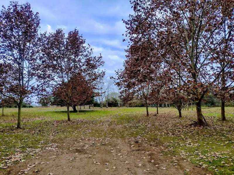 Terreno en venta · Los Cardales, Exaltación de la Cruz, GBA Norte, Provincia de Buenos Aires