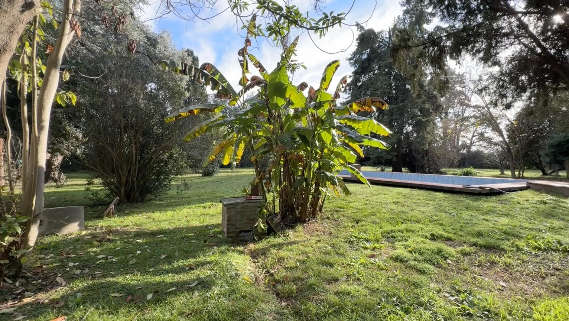 Foto 17