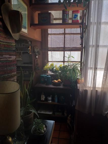 Foto 21
