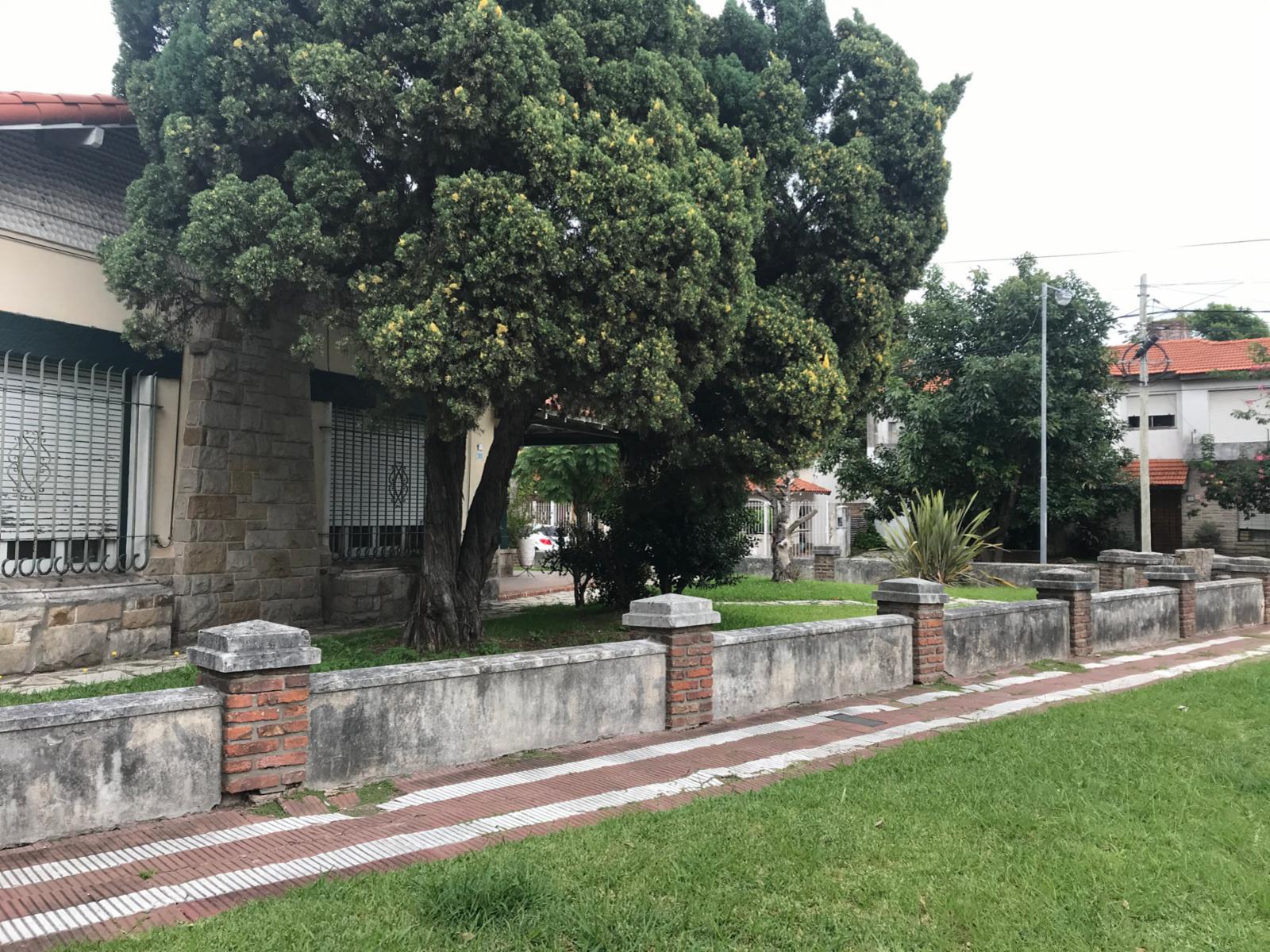 Foto 13