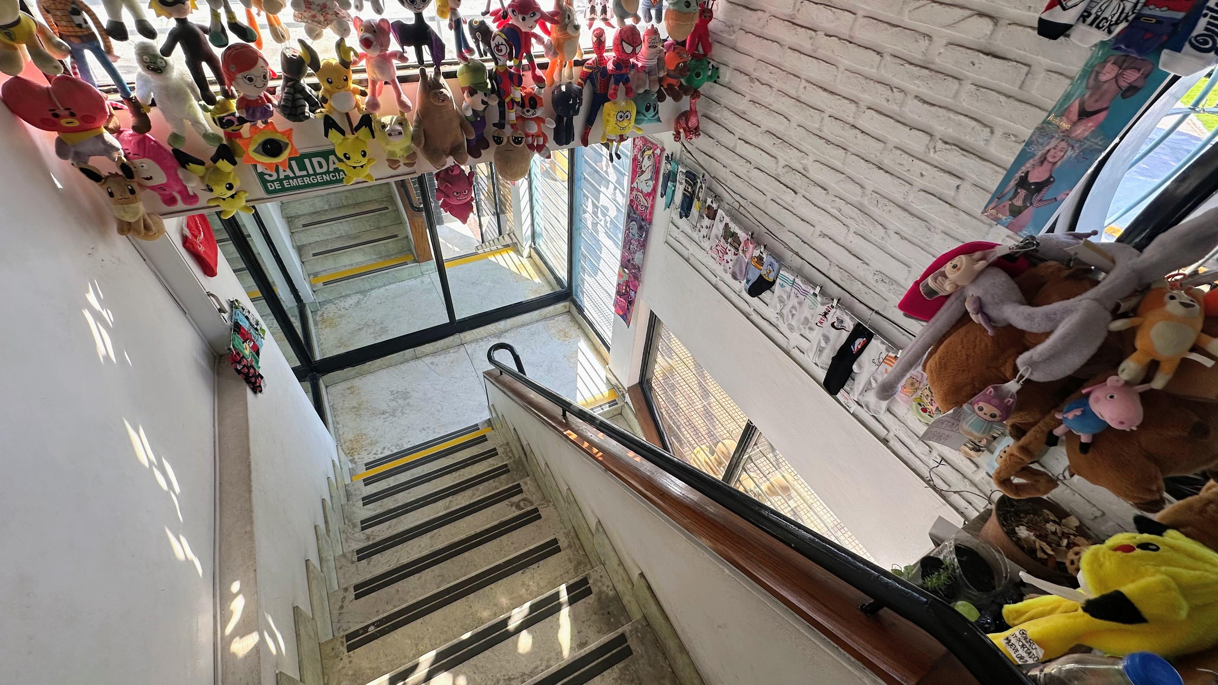 Foto 12