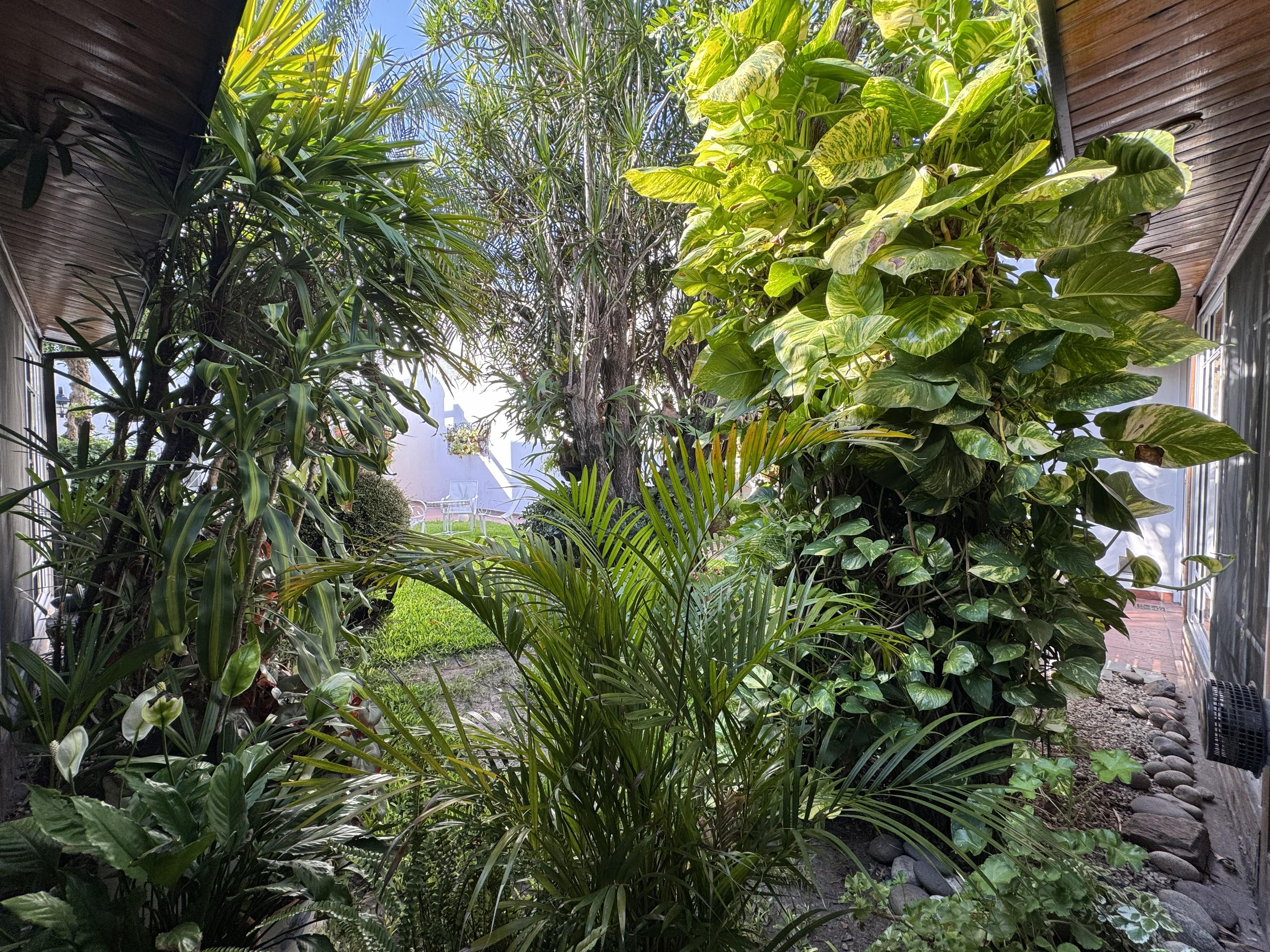 Foto 11