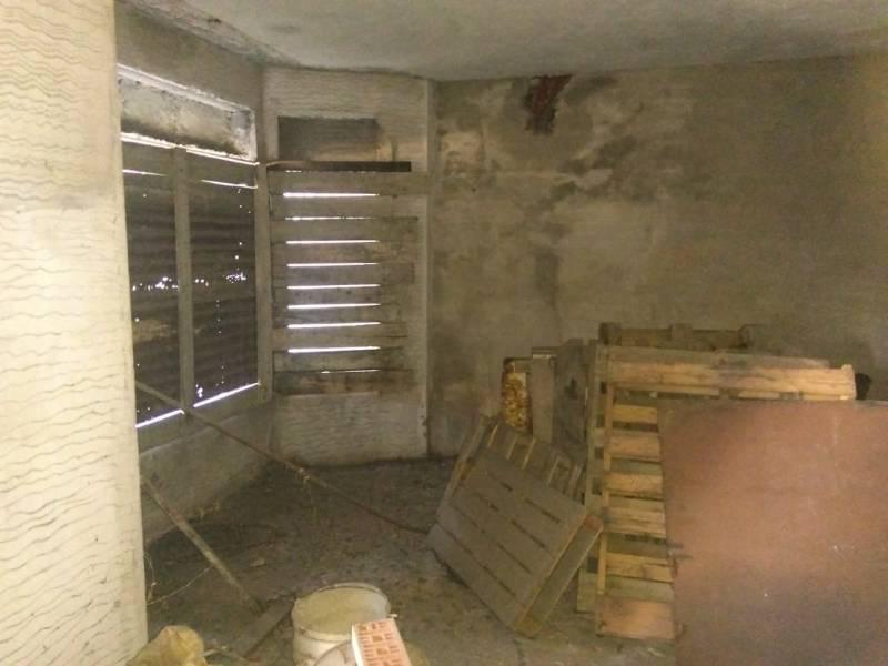 Foto 6