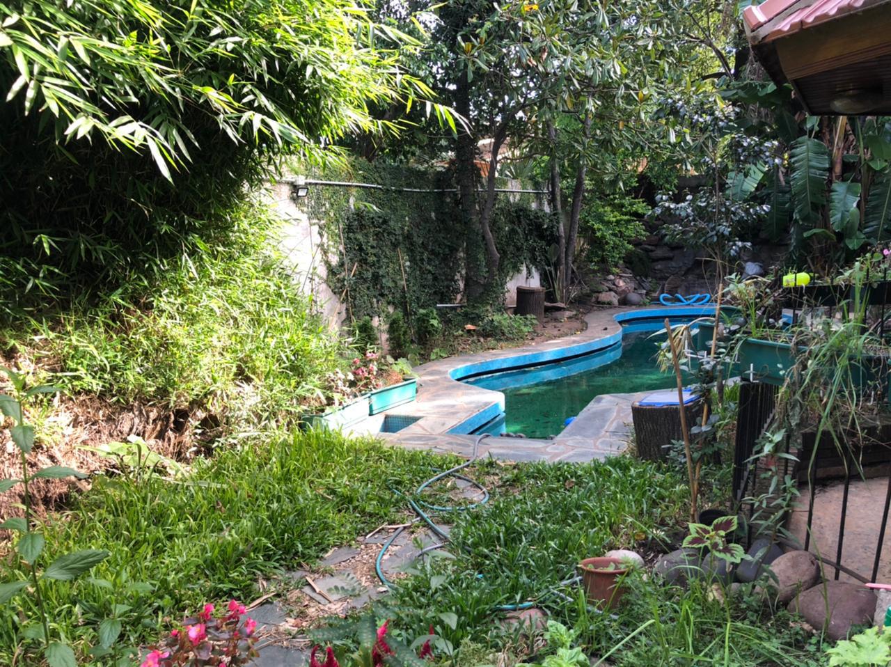 Foto 35