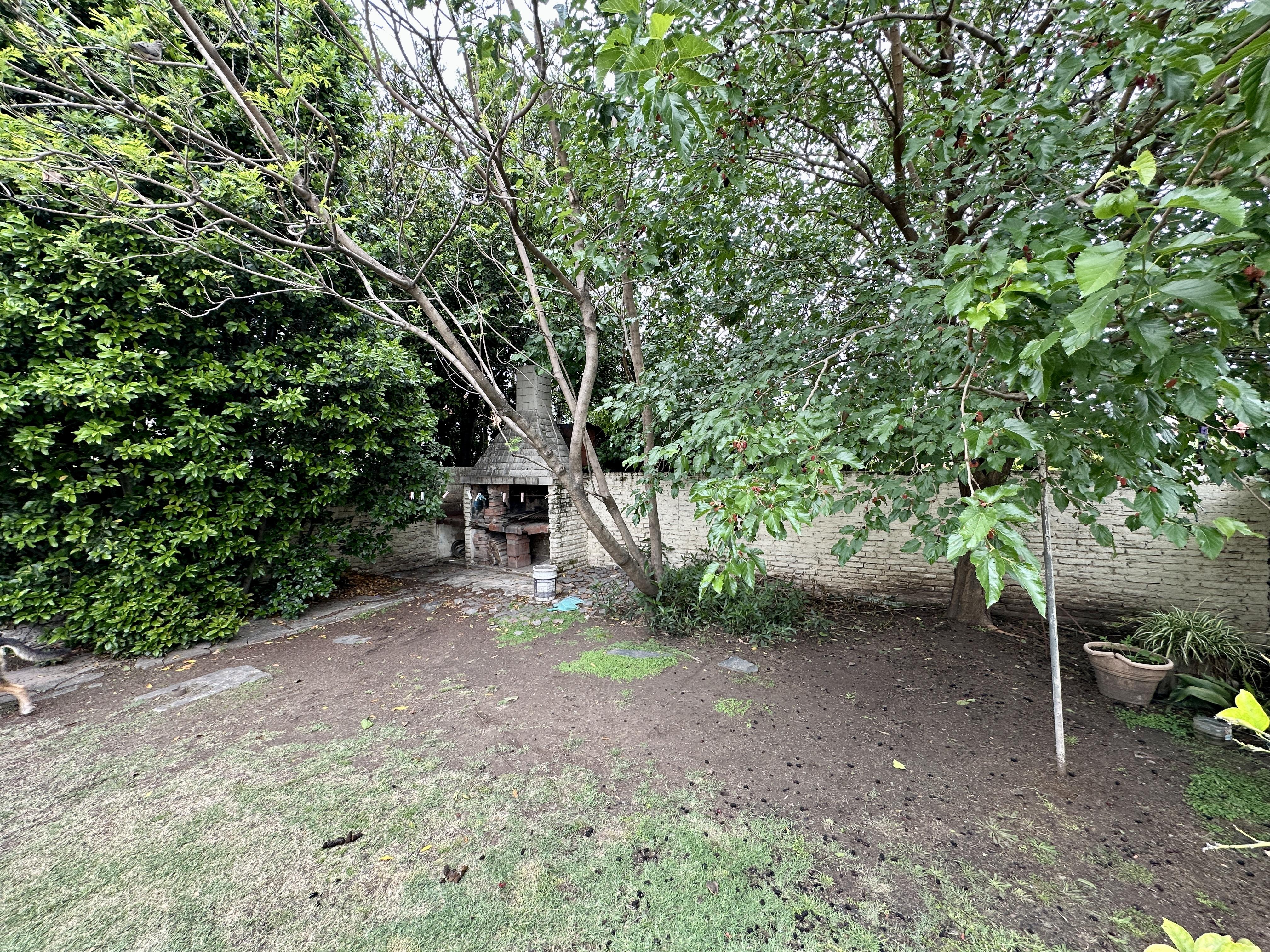 Foto 20
