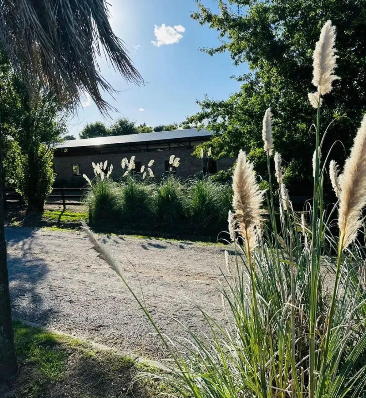 Foto 46