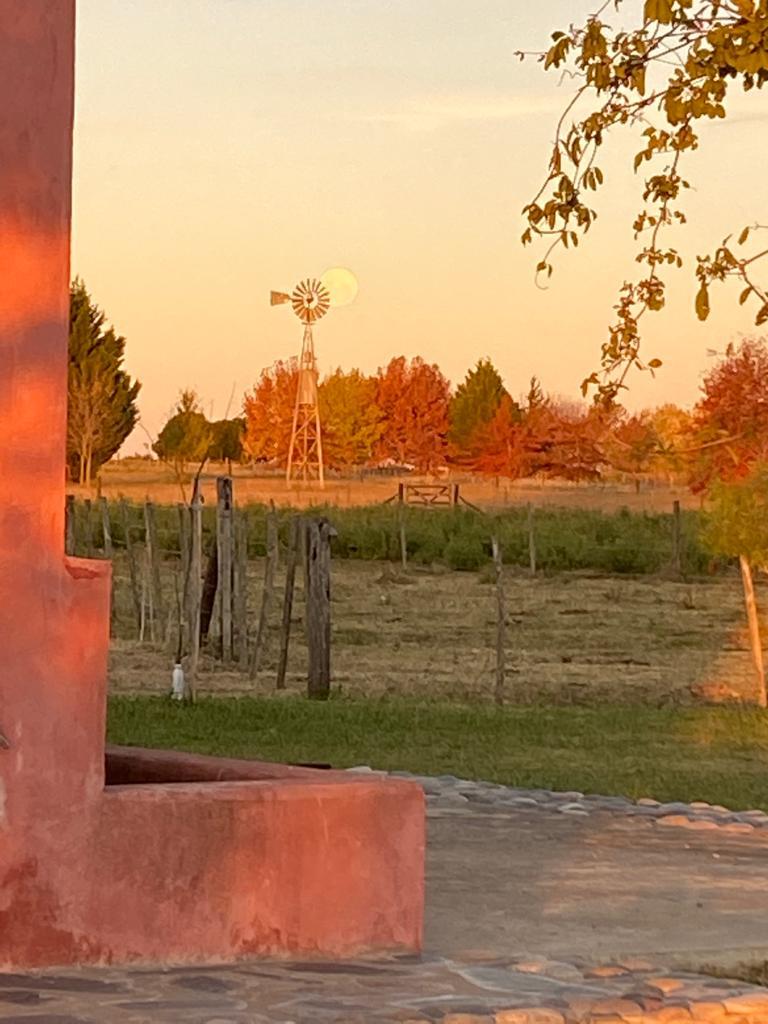 Foto 14