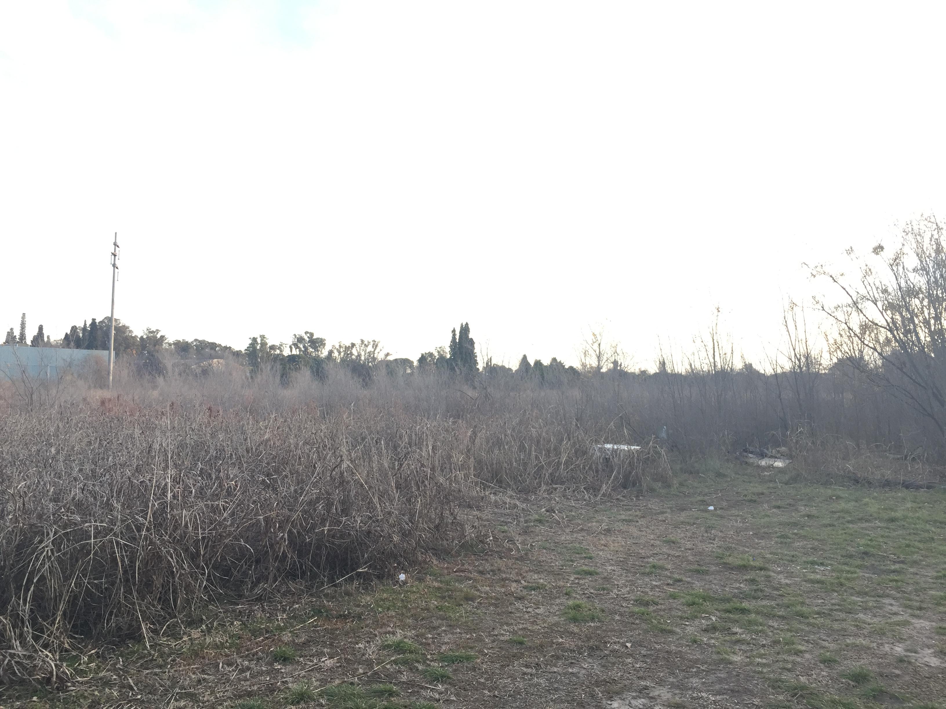 Foto 11