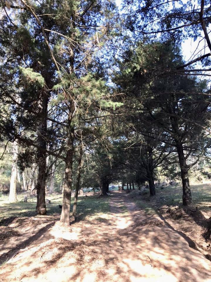 Foto 24