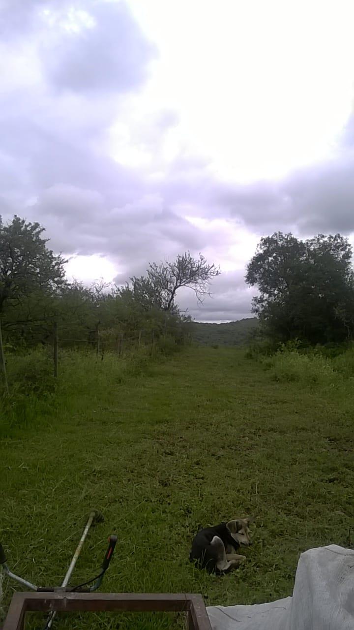 Foto 8