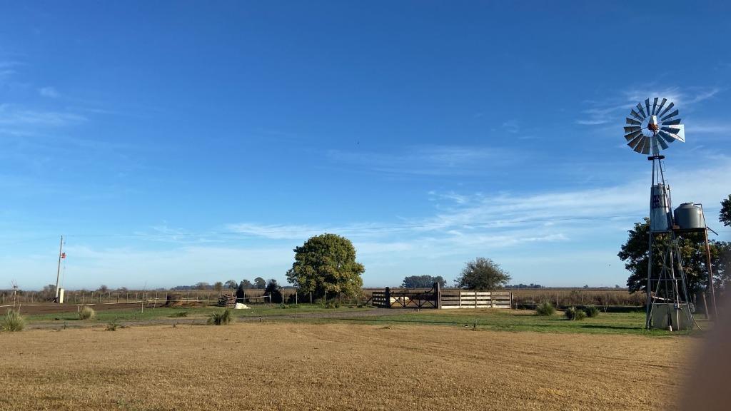 Foto 13