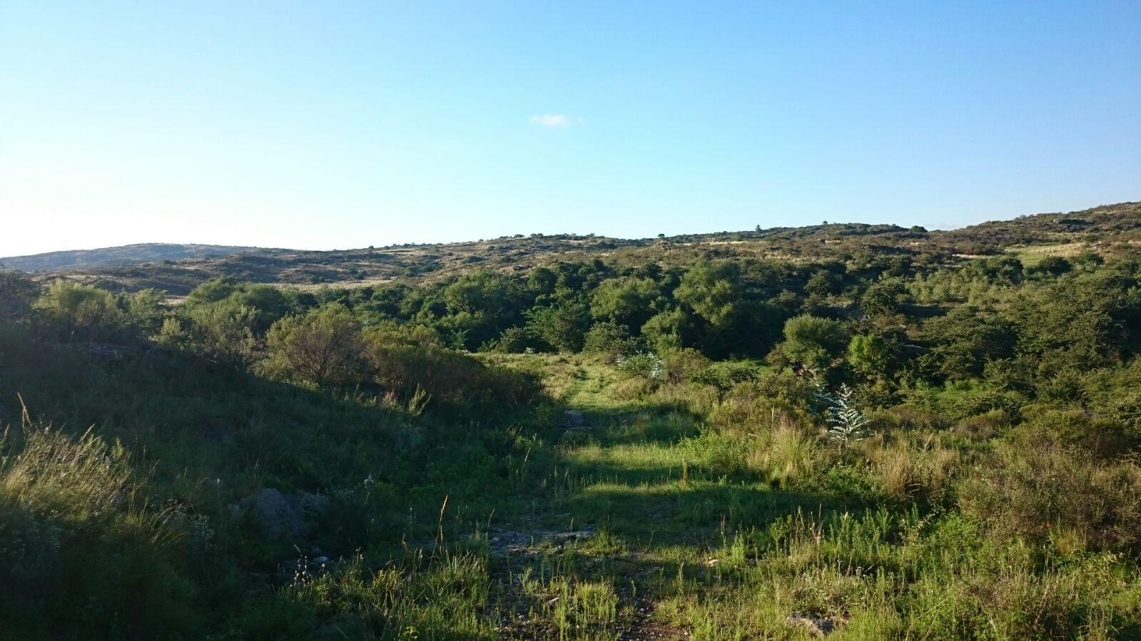 Terreno en venta · La Falda, Punilla, Córdoba