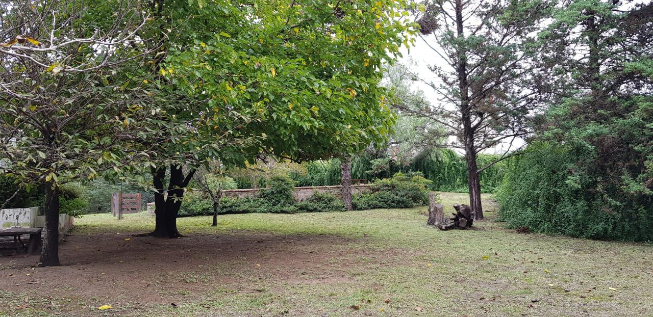 Foto 8