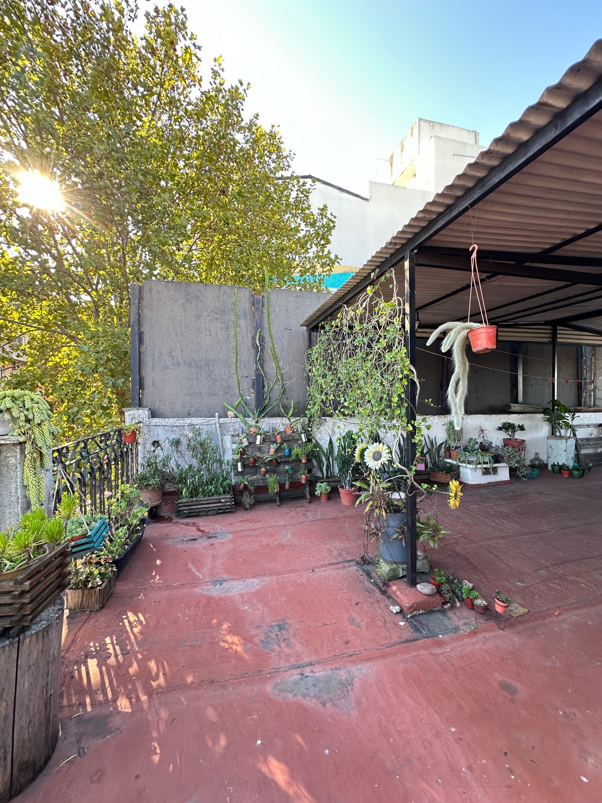 Foto 15