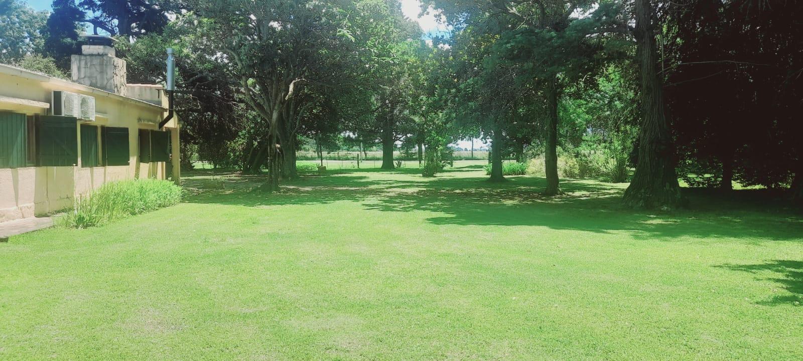 Foto 39