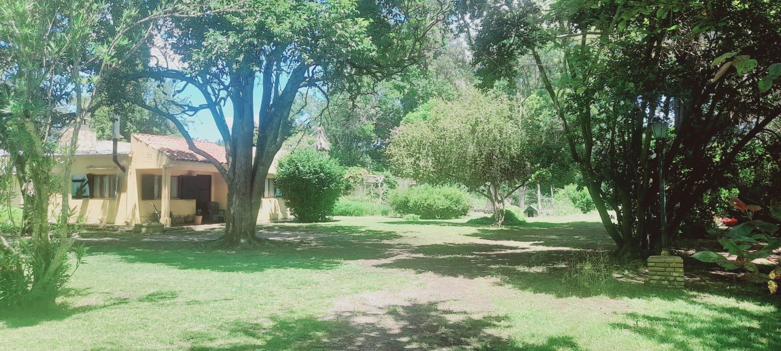 Foto 44