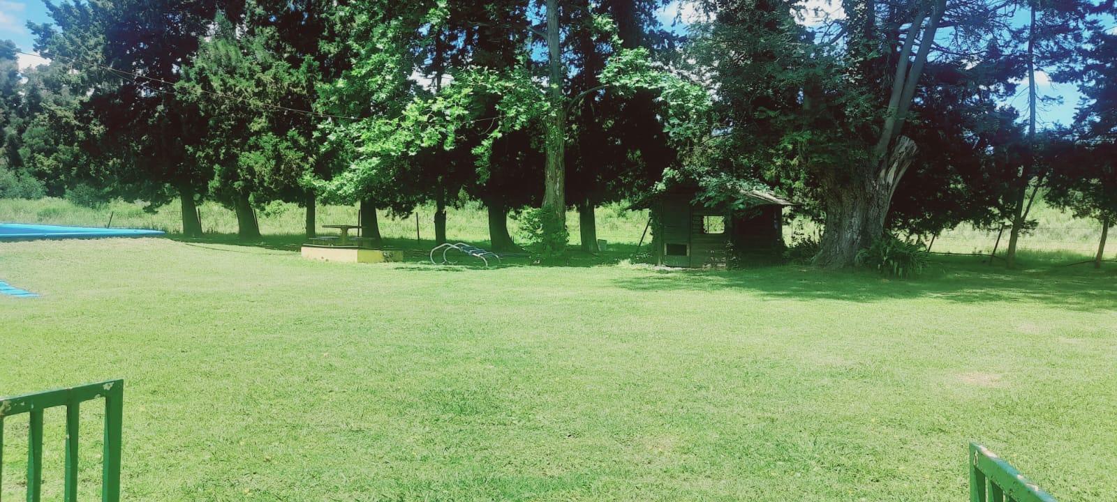 Foto 16
