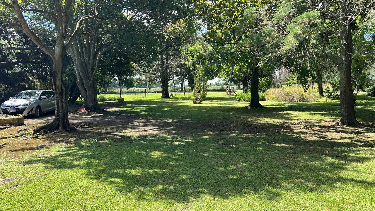 Foto 42