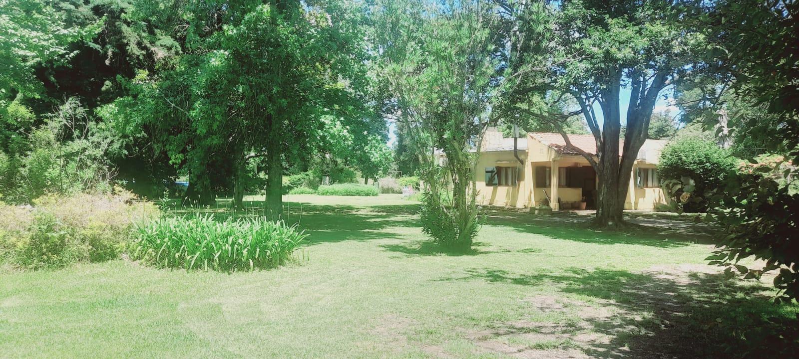 Foto 40