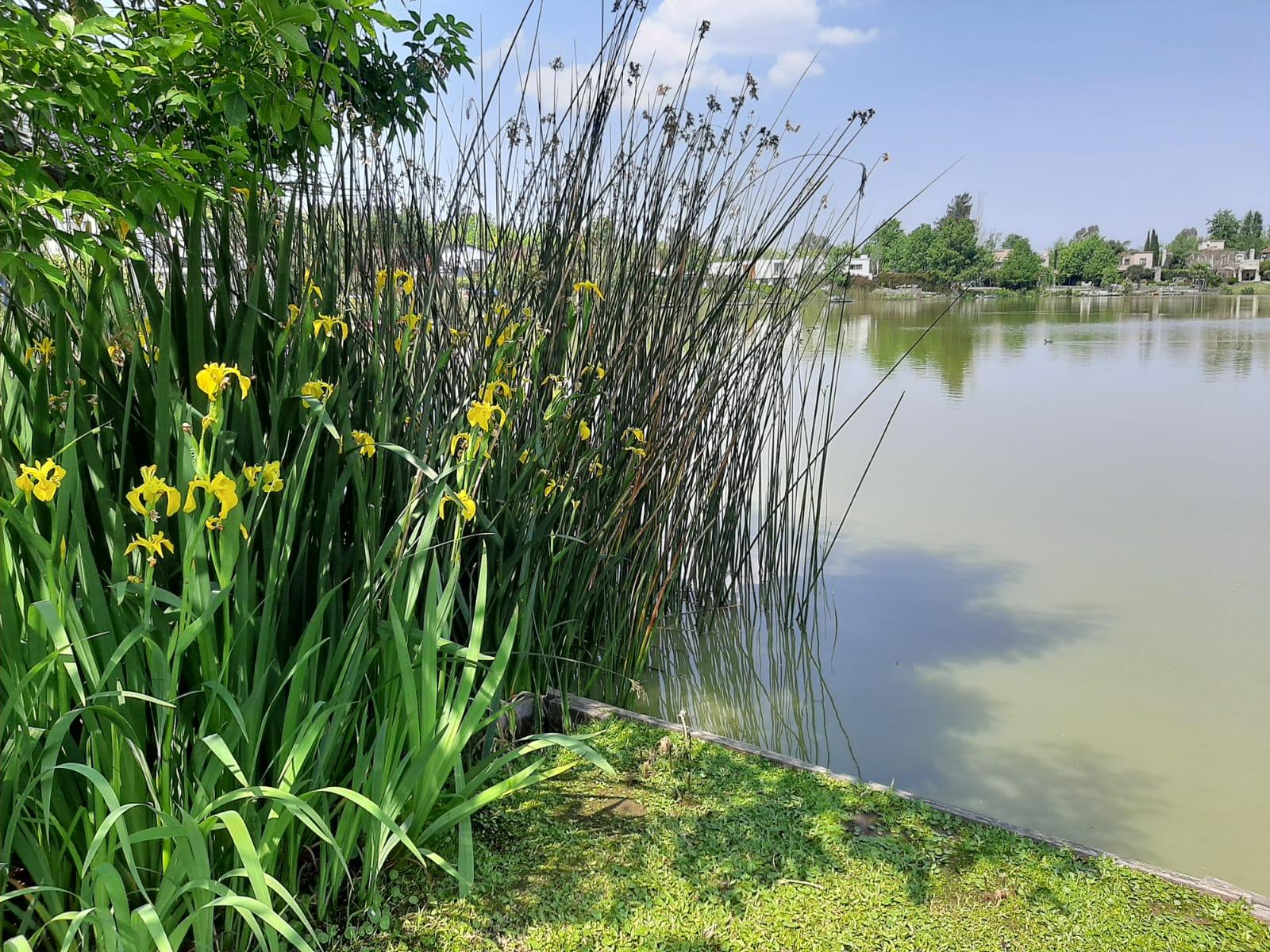 Terreno en venta · Manzanares, Pilar, GBA Norte, Provincia de Buenos Aires