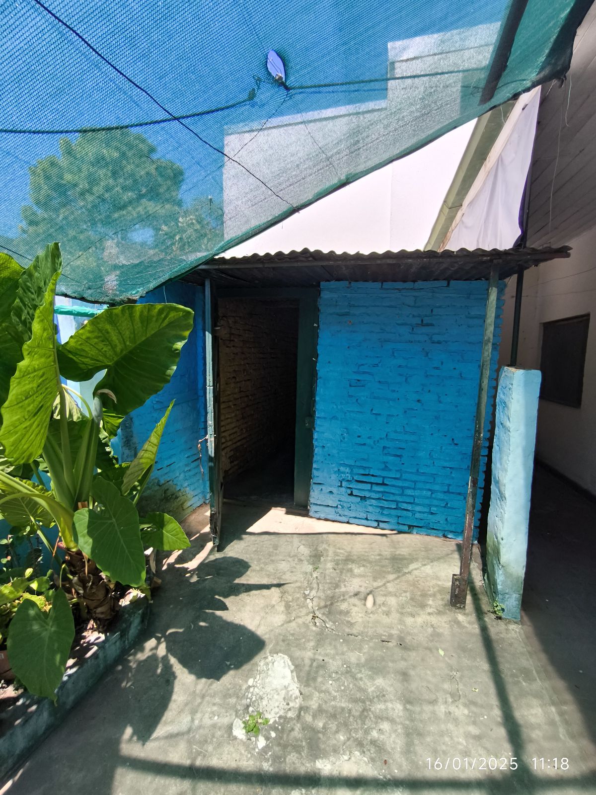 Foto 5